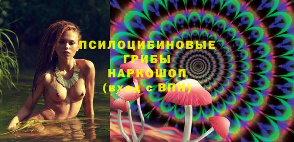 хмурый Кулебаки