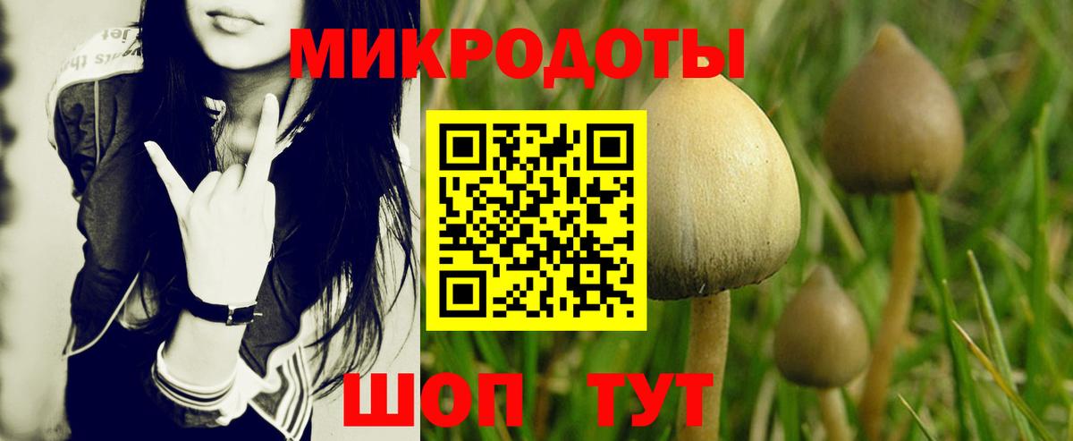 Кропоткин  Псилоцибиновые грибы Magic Shrooms  Вход с VPN  Псилоцибиновые грибы Magic Shrooms 